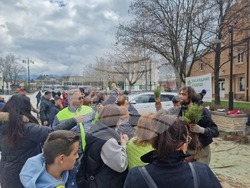 Самоков - Гората.бг - фиданки