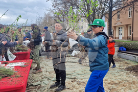 Самоков - Гората.бг - фиданки