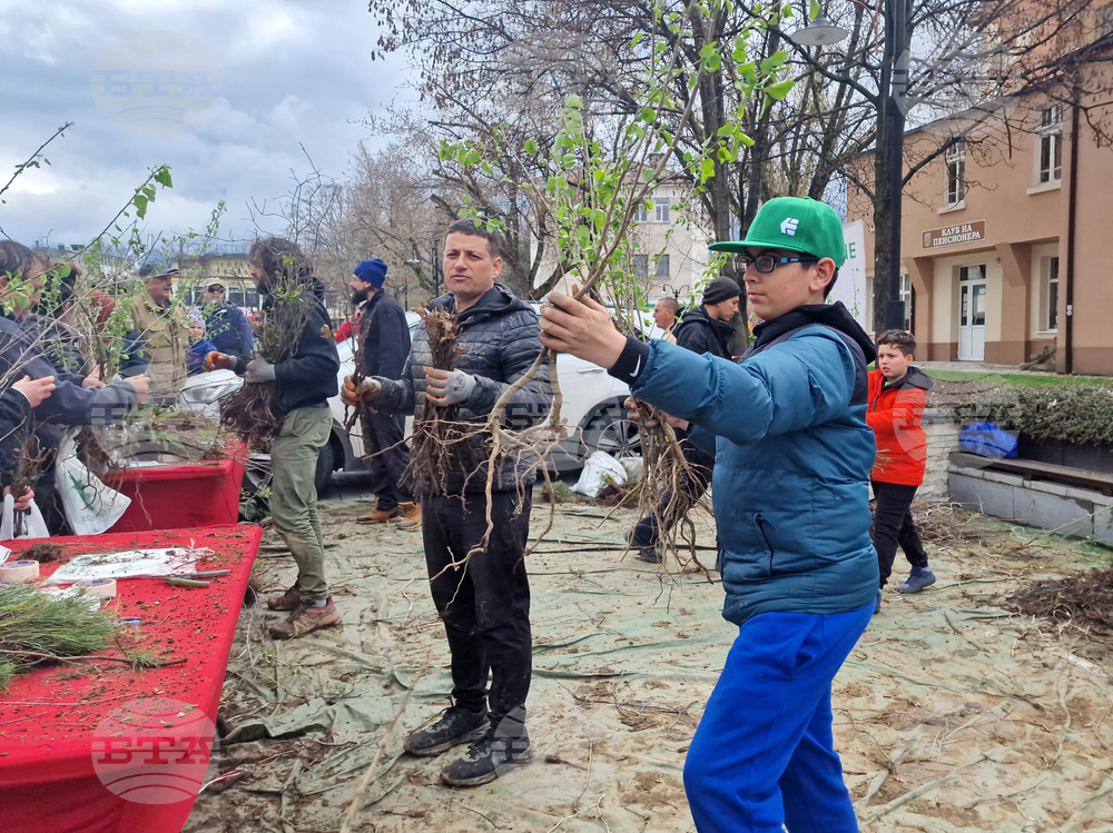 Около 15 000 фиданки раздадоха от "Гората.бг" в Самоков
