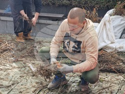 Самоков - Гората.бг - фиданки