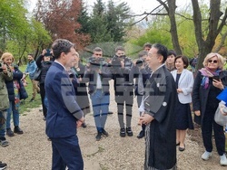 Румъния - „Ханами“