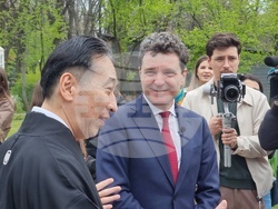 Румъния - „Ханами“