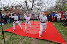 Румъния - „Ханами“