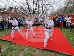 Румъния - „Ханами“