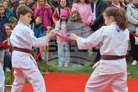 Румъния - „Ханами“