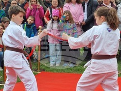 Румъния - „Ханами“