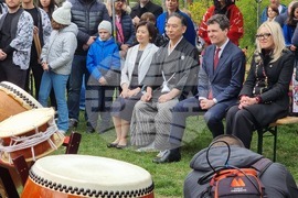 Румъния - „Ханами“