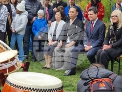 Румъния - „Ханами“