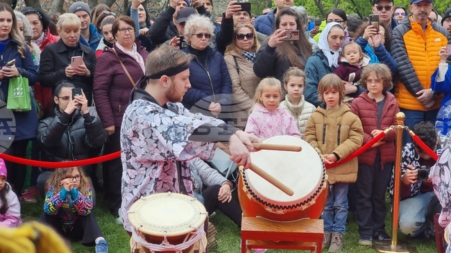 Румъния - „Ханами“