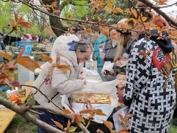 Румъния - „Ханами“