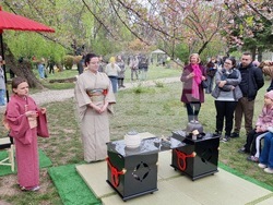 Румъния - „Ханами“