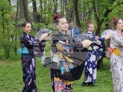 Румъния - „Ханами“