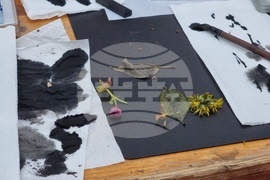 Румъния - „Ханами“