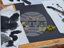 Румъния - „Ханами“