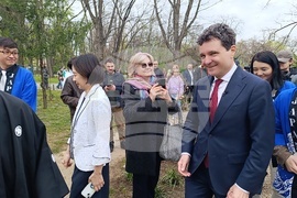 Румъния - „Ханами“