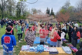 Румъния - „Ханами“