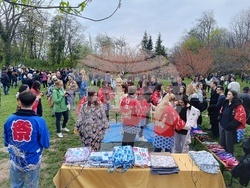 Румъния - „Ханами“