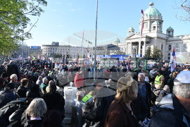 Сърбия - президент - митинг