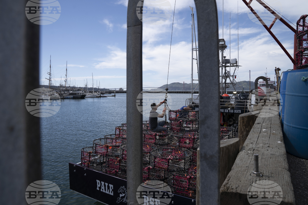 Whales Crab Nets