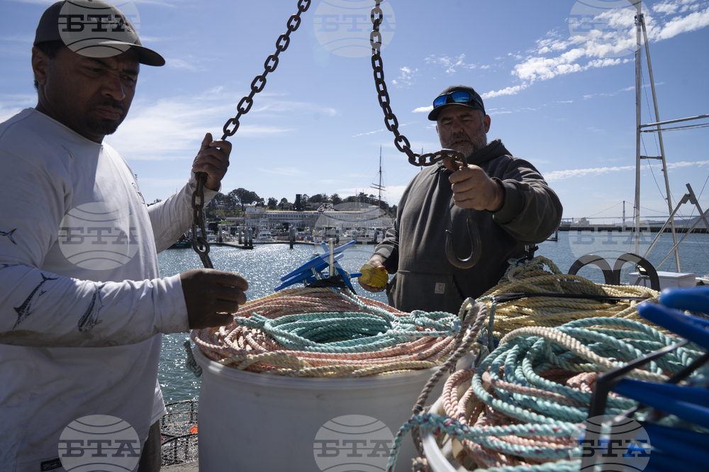 Whales Crab Nets