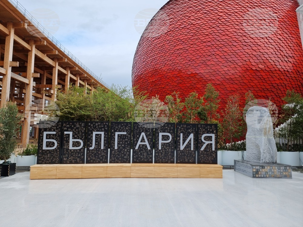 Япония - изложение ЕКСПО 2025 в Осака