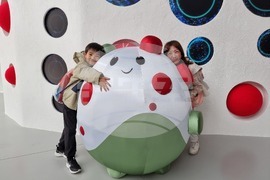 Япония - изложение ЕКСПО 2025 в Осака