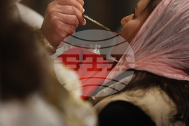 Цветница - Патриарх Даниил - Света литургия