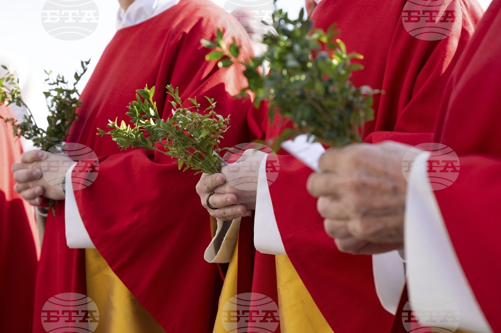 Germany Palm Sunday