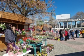 Пазарджик - фолклорен празник