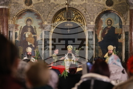 Цветница - Патриарх Даниил - Света литургия