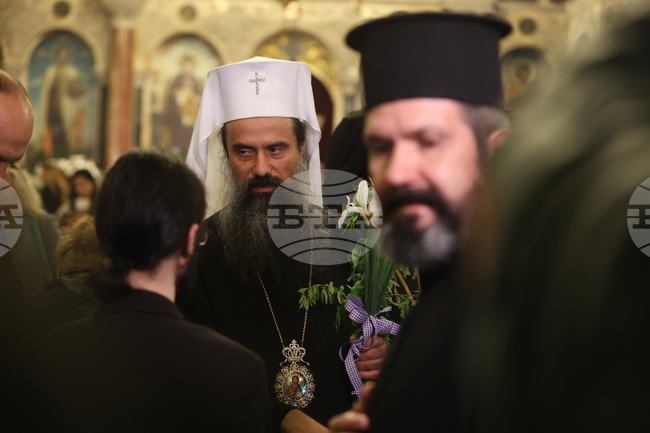 Bulgarian Patriarch Celebrates Palm Sunday