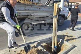 Петрич - инициатива - засадени 100 дръвчета