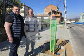 Петрич - инициатива - засадени 100 дръвчета