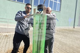 Петрич - инициатива - засадени 100 дръвчета