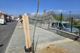 Петрич - инициатива - засадени 100 дръвчета