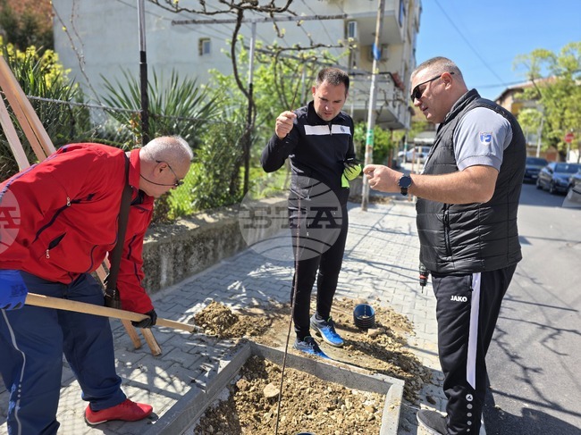 Петрич - инициатива - засадени 100 дръвчета