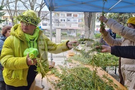 Добрич - Цветница - върбови клонки