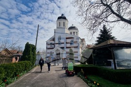 Добрич - Цветница - върбови клонки