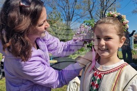 Село Войводово - Цветница