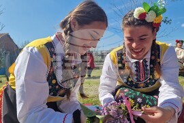 Село Войводово - Цветница