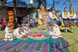 Село Войводово - Цветница