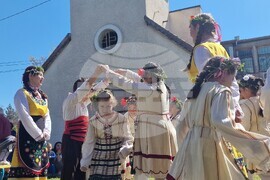 Село Войводово - Цветница