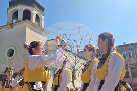 Село Войводово - Цветница