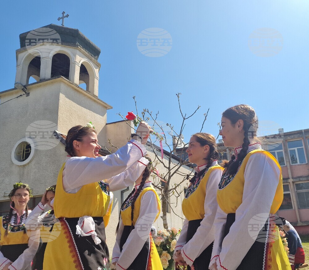Село Войводово - Цветница