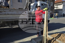 Петрич - инициатива - засадени 100 дръвчета