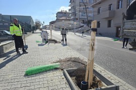 Петрич - инициатива - засадени 100 дръвчета