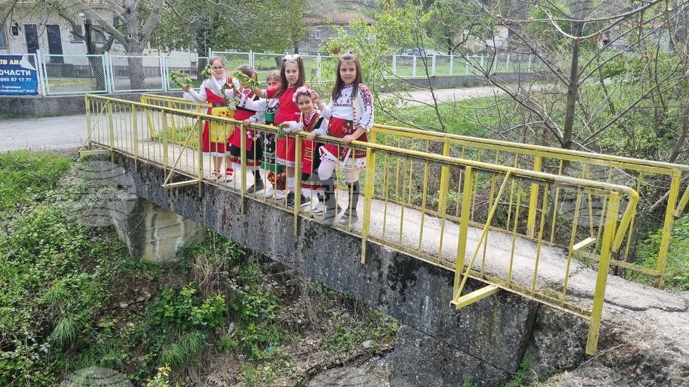На Цветница лазарки от търговищкото село Стража изпълниха ритуала кумичене