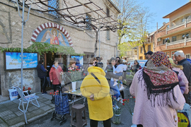 Хасково - Цветница