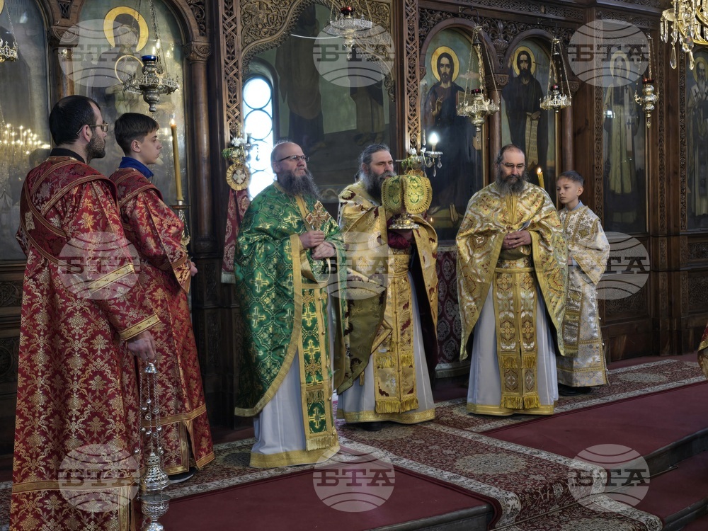 Видин - Катедрален храм "Св. вмчк Димитър Солунски" - литургия