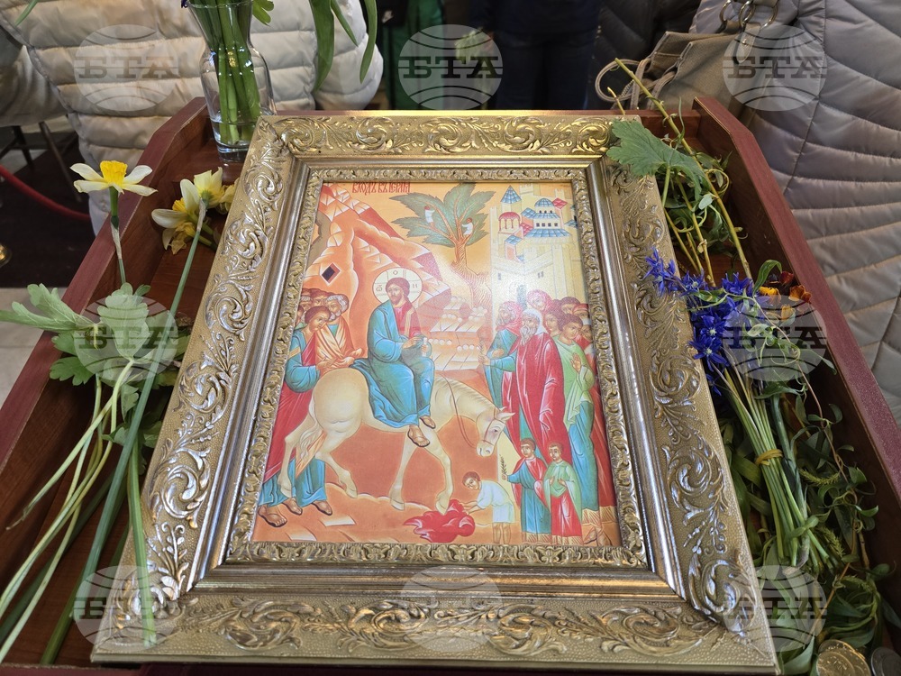 Видин - Катедрален храм "Св. вмчк Димитър Солунски" - литургия